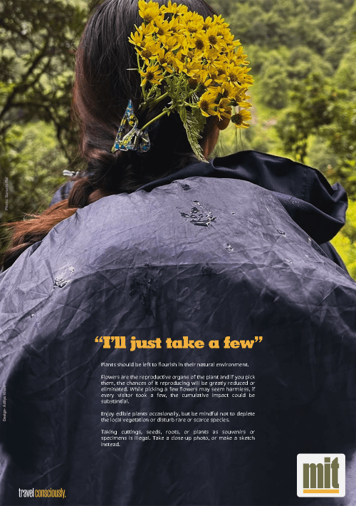  Flowers Poster Minimal Impact Travel