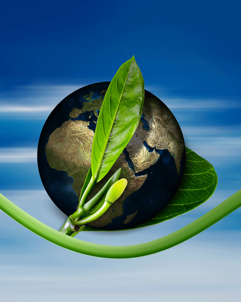 Creating Environmental Consciouness